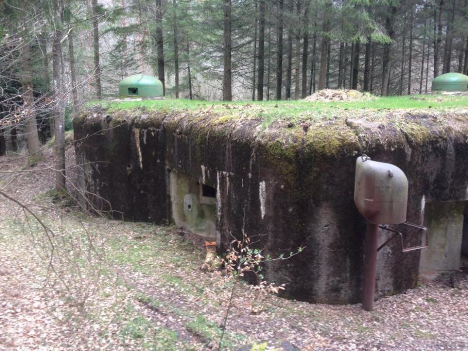 Ligne Maginot - WINECKERTHAL OUEST - (Casemate d'infanterie - Double) -  - EVA Philippe