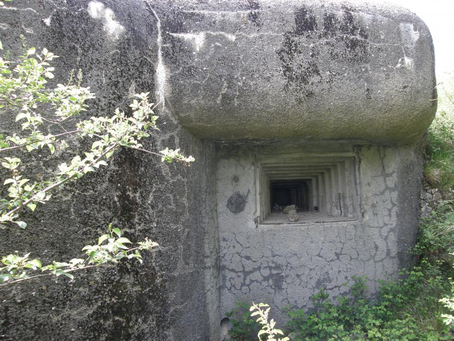 Ligne Maginot - COL DES BANQUETTES (EO7) - (Abri actif) - Bloc 3
Le créneau flanquant Garuche, col du Verroux et Siricoca - LOVINY Alain