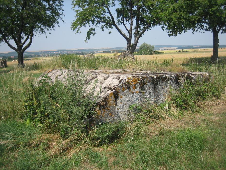 Ligne Maginot - WIESWEILLER WALD - (Blockhaus de type indéterminé) - La dalle de toiture. - RITTIE Arnaud