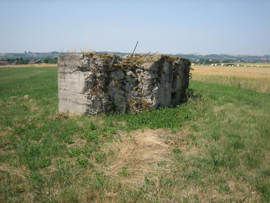 Ligne Maginot - WIESWEILLER WALD - (Blockhaus de type indéterminé) - Le pan de mur retombé droit - RITTIE Arnaud