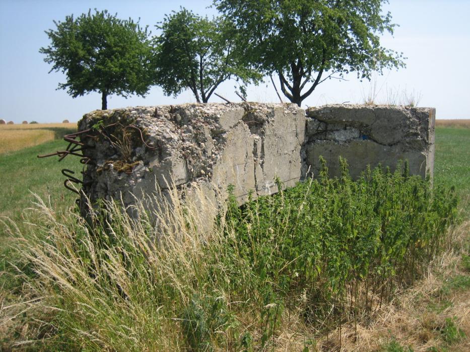 Ligne Maginot - WIESWEILLER WALD - (Blockhaus de type indéterminé) - Le pan de mur retombé droit - RITTIE Arnaud
