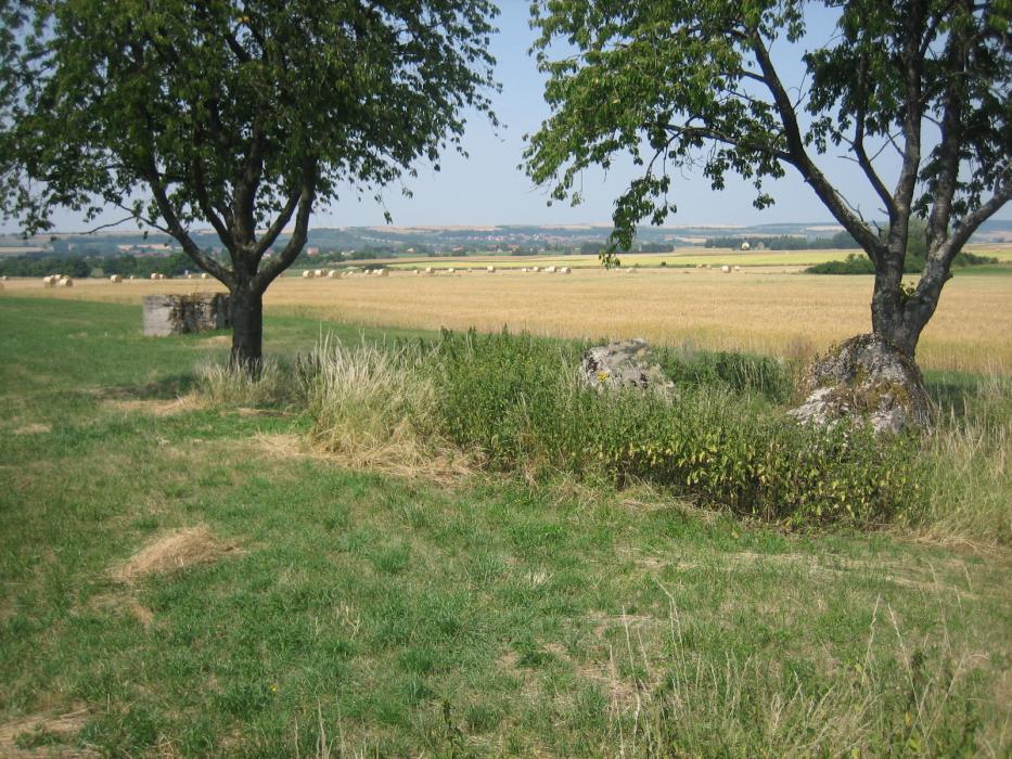 Ligne Maginot - WIESWEILLER WALD - (Blockhaus de type indéterminé) - L'emplacement initial du blockhaus, avec des restes de murs restés sur place - RITTIE Arnaud