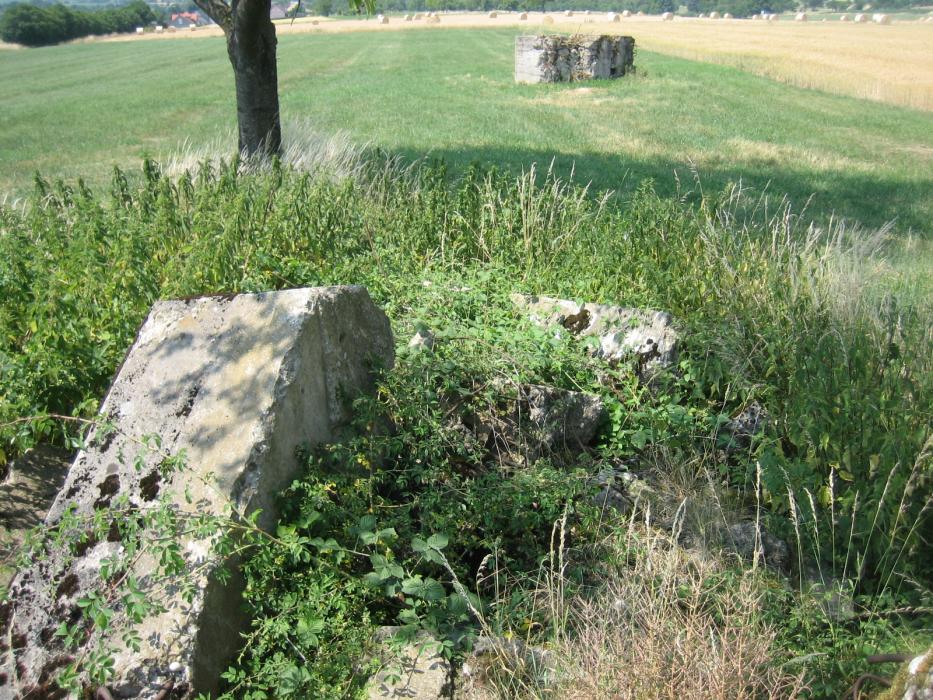 Ligne Maginot - WIESWEILLER WALD - (Blockhaus de type indéterminé) - L'emplacement initial du blockhaus, avec des restes de murs restés sur place - RITTIE Arnaud