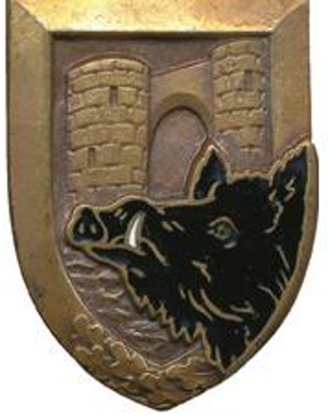 Insigne du 147° RIF