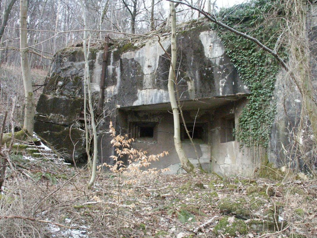 Ligne Maginot - HOCHWALD C9 ( Casemate d'infanterie ) - La façade de la casemate - GRASSER Michel