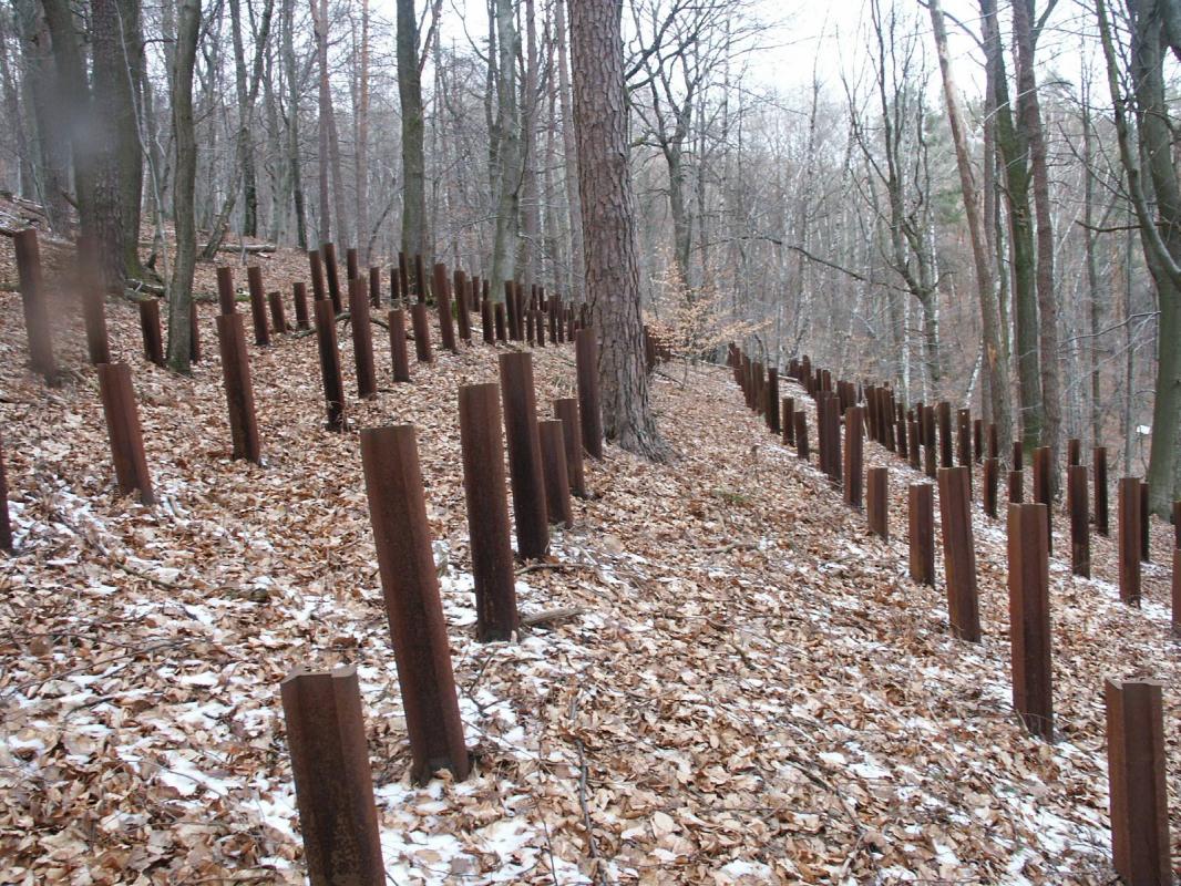 Ligne Maginot - HOCHWALD C9 ( Casemate d'infanterie ) - Le réseau de rails antichar aux abords - GRASSER Michel