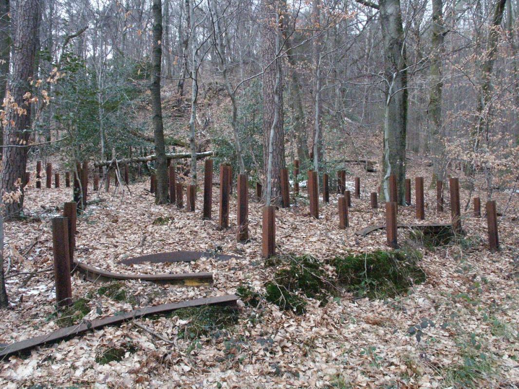 Ligne Maginot - HOCHWALD C9 ( Casemate d'infanterie ) - Le réseau de rails antichar aux abords - GRASSER Michel