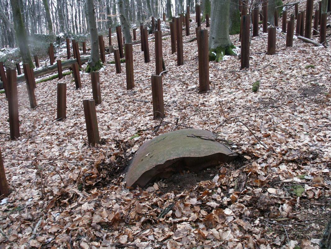 Ligne Maginot - HOCHWALD C9 ( Casemate d'infanterie ) - Le réseau de rails antichar aux abords et une partie de le cloche GFM détruite - GRASSER Michel