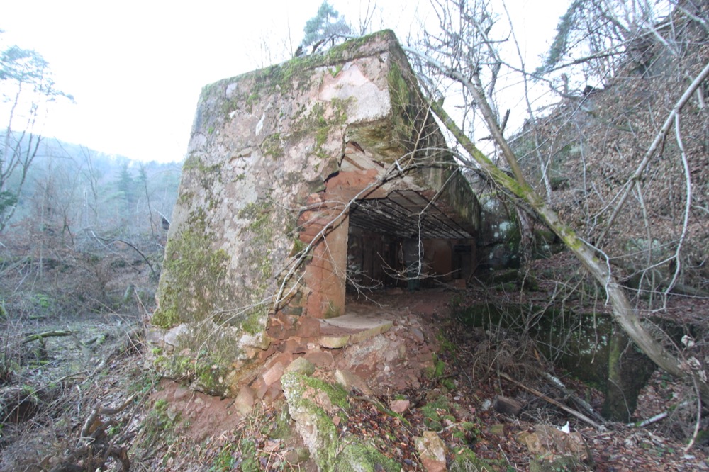 Ligne Maginot - ZIEGELBERG OUEST - (PC) -  - Antoine SCHOEN