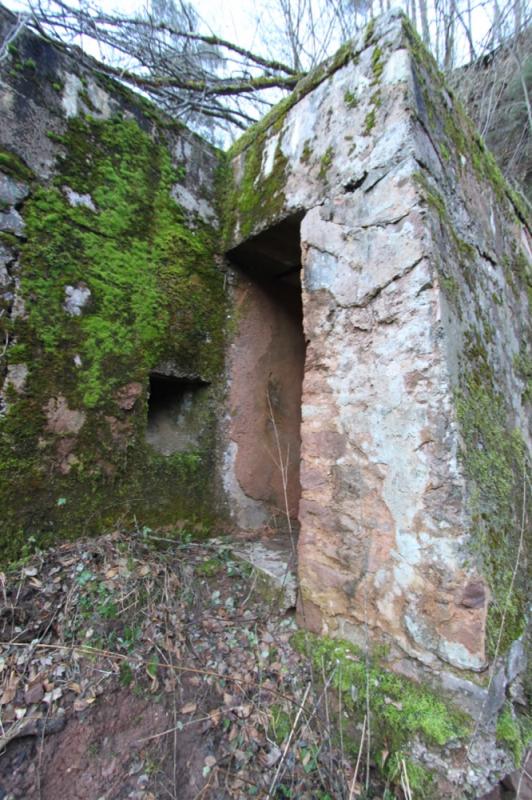 Ligne Maginot - ZIEGELBERG OUEST - (PC) -  - Antoine SCHOEN