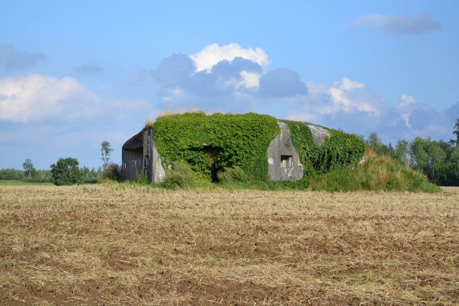 Ligne Maginot - B524 - WARGNIES LE PETIT - (Blockhaus pour canon) -  - PAVEL Jan
