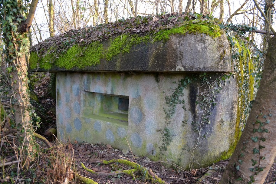Ligne Maginot - I6 - (Blockhaus pour arme infanterie) - Le camouflage est encore bien visible de ce coté - PAVEL Jan