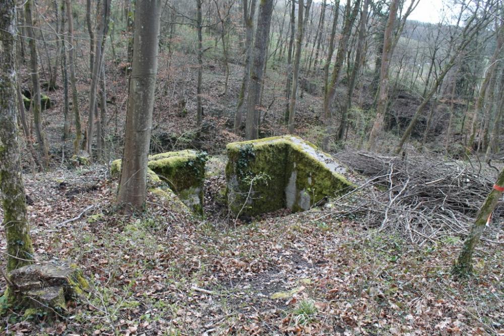 Ligne Maginot - GRAND BOIS 5 - (Cuve pour arme d'infanterie) - L'encuvement - Christian LENHARD