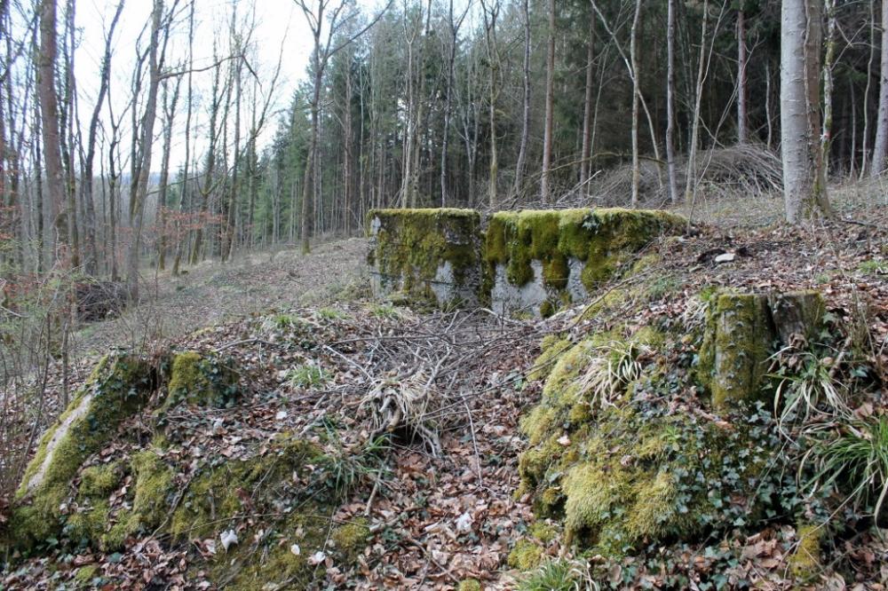 Ligne Maginot - GRAND BOIS 5 - (Cuve pour arme d'infanterie) - L’accès à l'encuvement  - Christian LENHARD