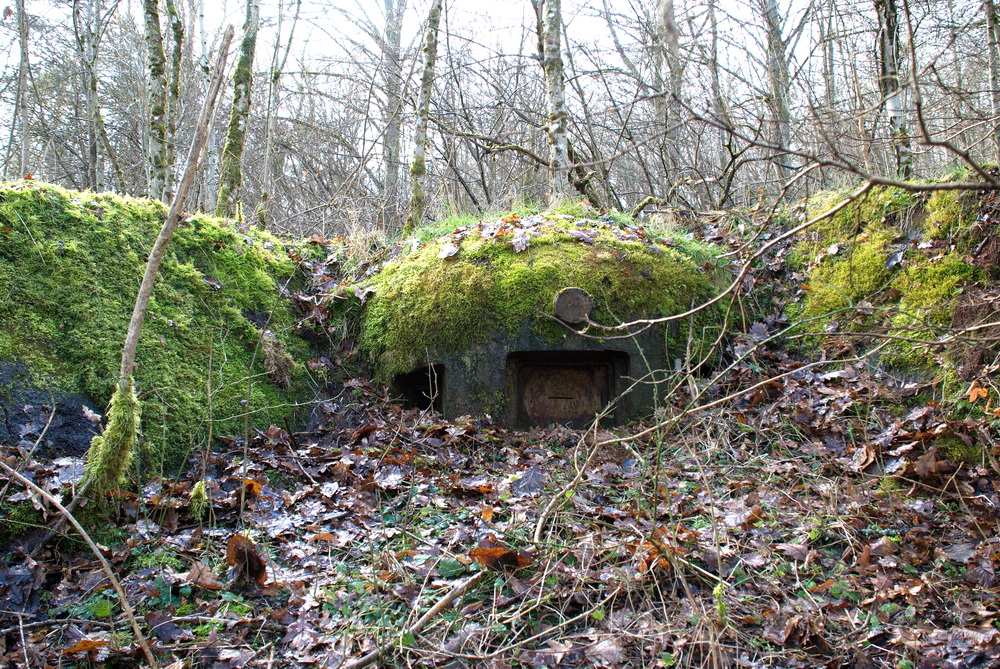 Ligne Maginot - SCHIESSECK - (Ouvrage d'artillerie) - Bloc 5
Cloche JM - LEHMANN Denis