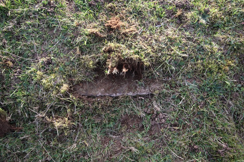Ligne Maginot - TRITSCHENBUEHL - (Cuve pour arme d'infanterie) - Des traces de béton en grattant un peu la terre. - GRUBER Franck