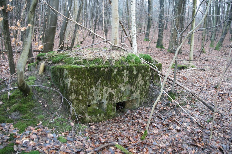 Ligne Maginot - HOCHWALD Ouest 5 ( Blockhaus pour arme infanterie ) -  - GRUBER Franck