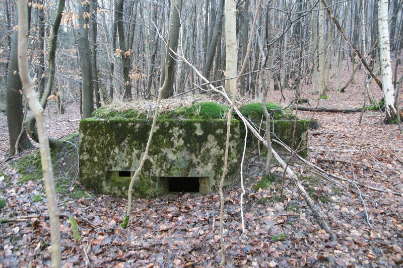 Ligne Maginot - HOCHWALD Ouest 5 ( Blockhaus pour arme infanterie ) -  - GRUBER Franck