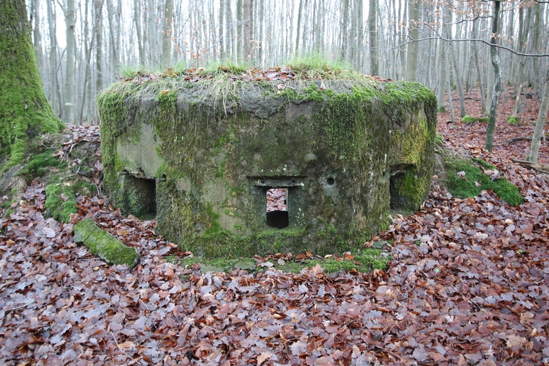 Ligne Maginot - FM26 - VOEGELSMATT 4 - (Blockhaus pour arme infanterie) -  - GRUBER Franck
