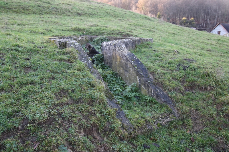 Ligne Maginot - LANGENSOULTZBACH OUEST 1 - (Cuve pour arme d'infanterie) - Cuve pour fusil mitrailleur - GRUBER Franck