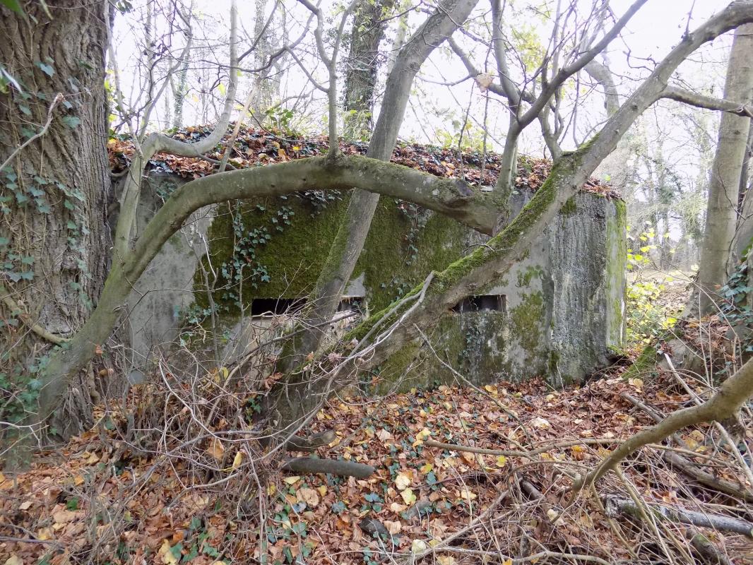 Ligne Maginot - R4 - CHATEAU DE REMILLY - (Blockhaus pour arme infanterie) - Façade, coté droit - R Tucker