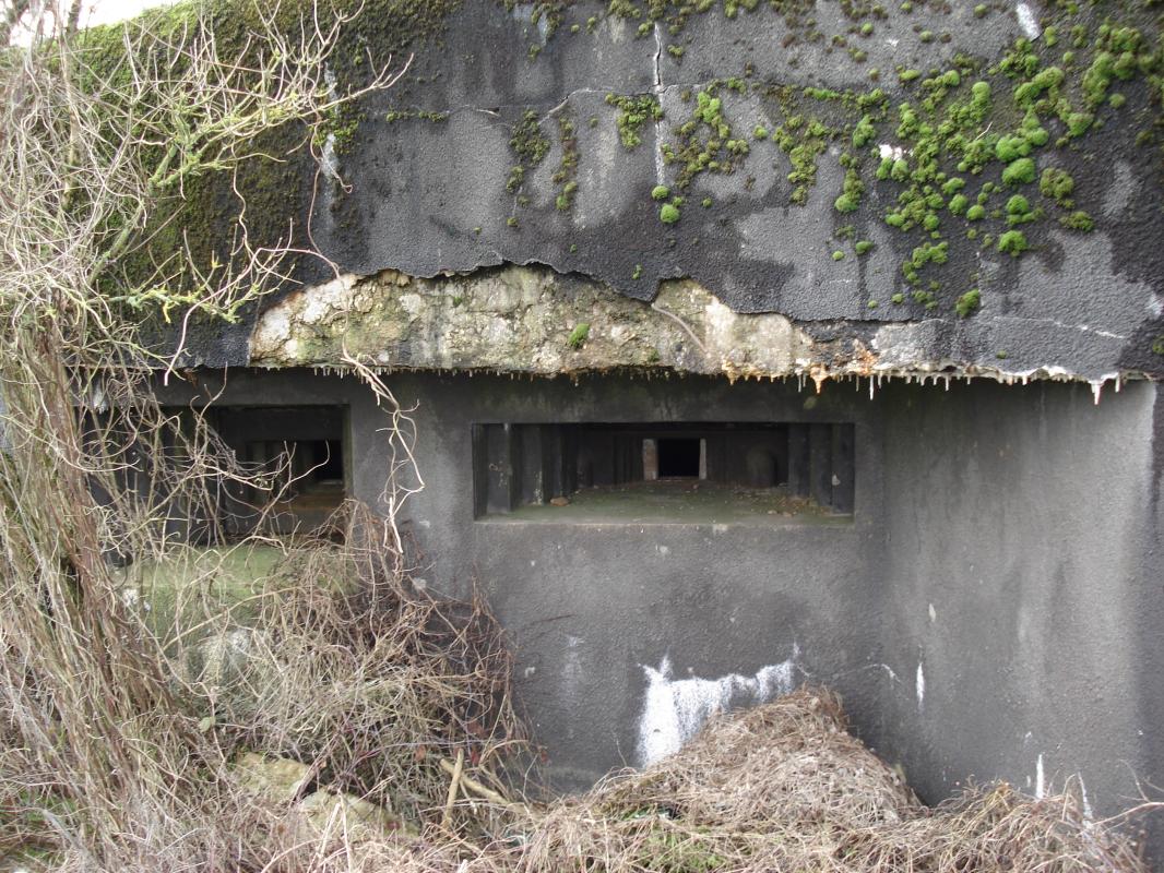 Ligne Maginot - 108 - PALLETTO - (Blockhaus lourd type STG / STG-FCR - Double) - Les créneaux, face est - R Tucker