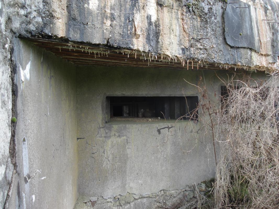 Ligne Maginot - 108 - PALLETTO - (Blockhaus lourd type STG / STG-FCR - Double) - Les créneaux, face ouest - R Tucker