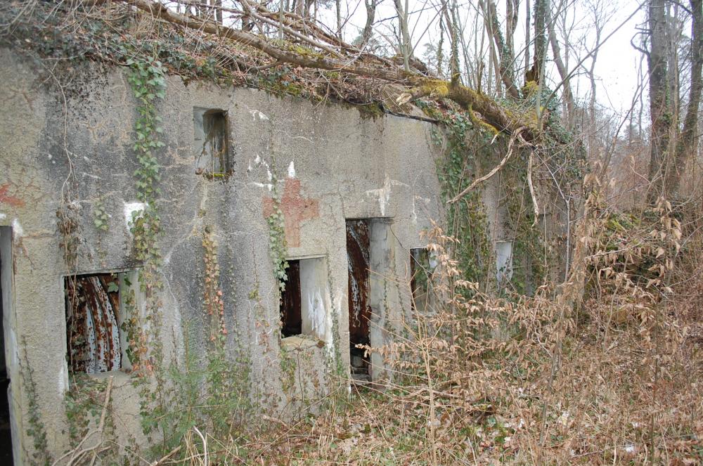 Ligne Maginot - La LOUVIERE (II/149° RIF) ( PC de Quartier ) - Situé en bordure de la route qui va de Longuyon vers Pierrepont en Meurthe et Moselle cet ouvrage est en ruine et la nature reprend ses droits... - Christian RICHON/devoitine520
