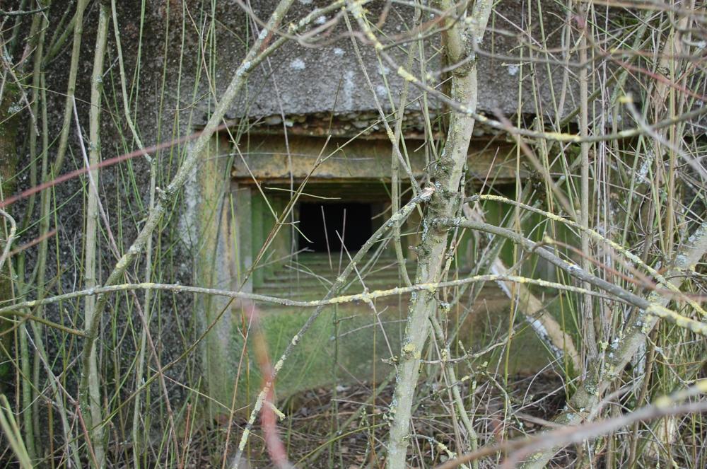 Ligne Maginot - MB351 - (Blockhaus lourd type STG / STG-FCR - Simple) - Créneau de tir vu de l'extérieur - Christian RICHON/devoitine520