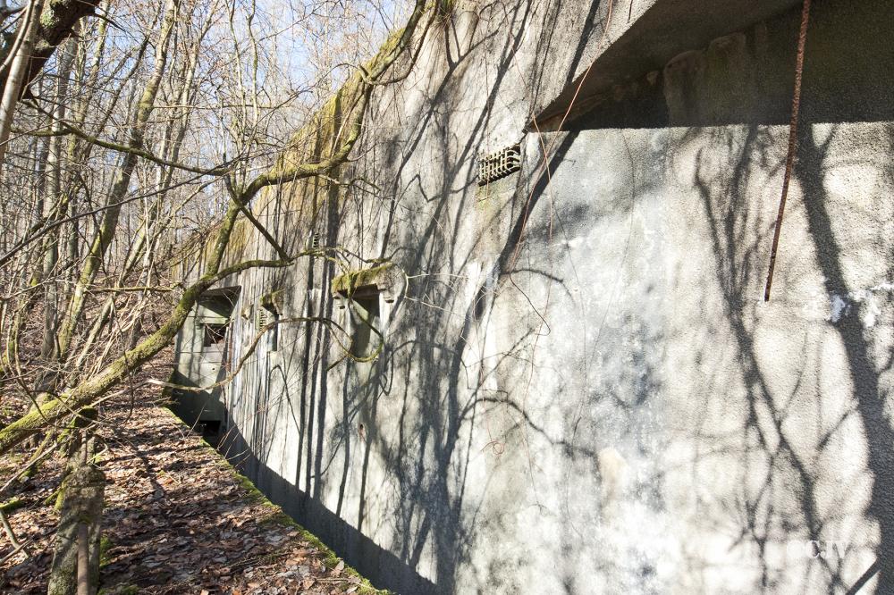 Ligne Maginot - BARRUNGSHOFF - BORNUNGSHOFF - X11 - (Abri) -  - Lia VERMEULEN