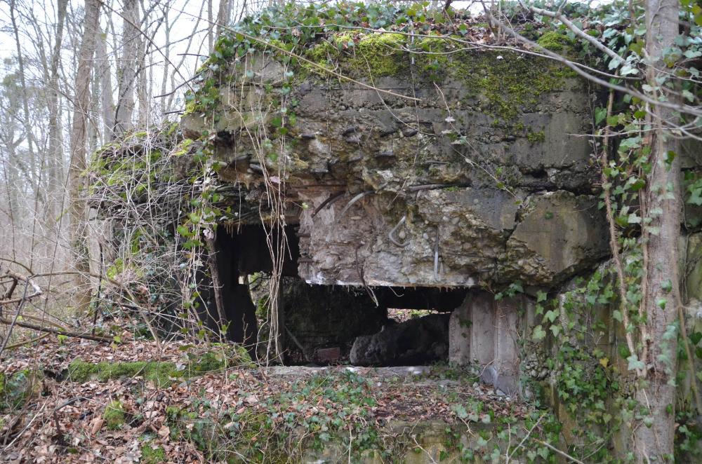 Ligne Maginot - PA CARREFOUR 222.2 OUEST - (Blockhaus pour canon) - Créneau pour canon - D. Froehly