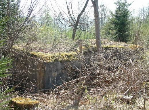 Ligne Maginot - HORNIS - (Abri) -  - AALMA - www.lignemaginot.com