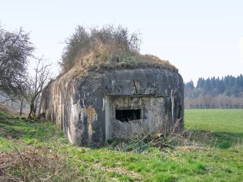 Ligne Maginot - B724 - AUNIAUX (Blockhaus pour canon) -  - AALMA - www.lignemaginot.com