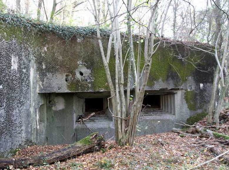 Ligne Maginot - C19 - TRECHON - (Casemate d'infanterie - double) -  - AALMA - www.lignemaginot.com