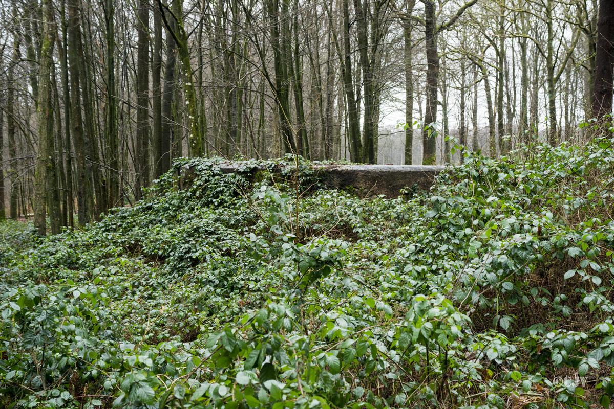 Ligne Maginot - BA17 - CARREFOUR ALEXANDRE - (Blockhaus pour canon) - L'avant du bloc est bien camouflé - Lia VERMEULEN
