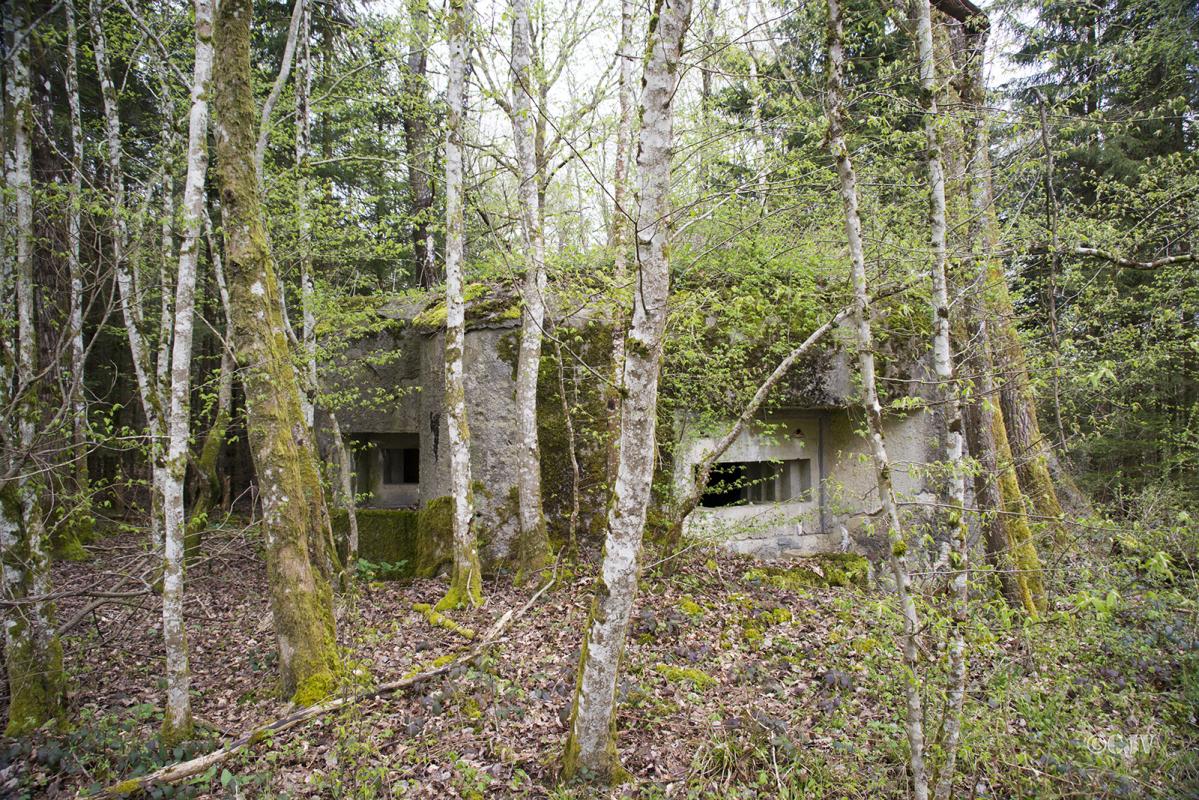 Ligne Maginot - B756 - FOND MADAME - (Blockhaus pour canon) -  - Lia VERMEULEN