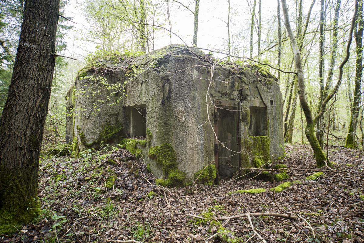 Ligne Maginot - B756 - FOND MADAME - (Blockhaus pour canon) -  - Lia VERMEULEN