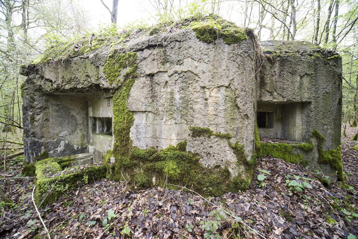 Ligne Maginot - B756 - FOND MADAME - (Blockhaus pour canon) -  - Lia VERMEULEN