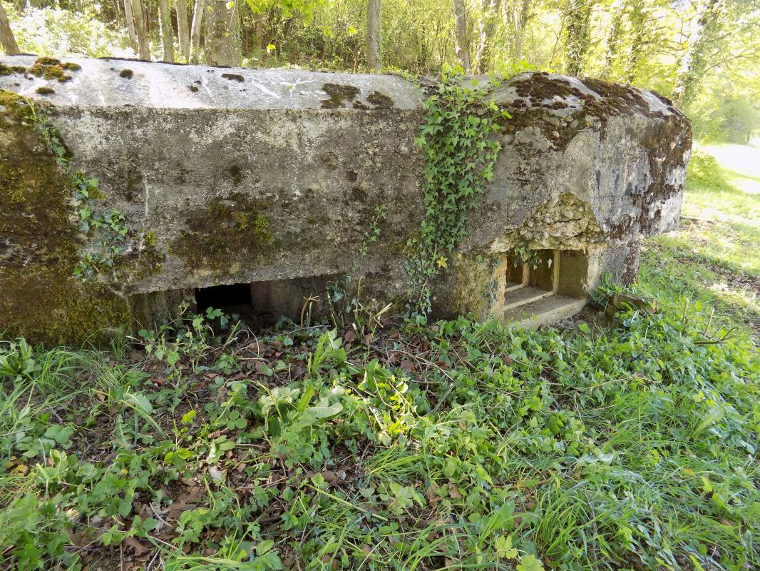 Ligne Maginot - 11C - VALMONT - (Blockhaus pour arme infanterie) - Face frontale - R Tucker