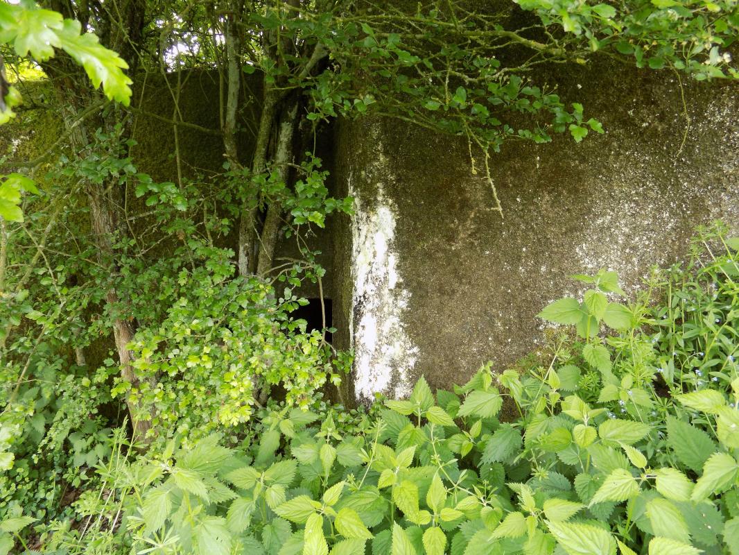 Ligne Maginot - FOND DE LA CHAUSSEE OUEST - (Blockhaus pour canon) - Face frontale - R Tucker