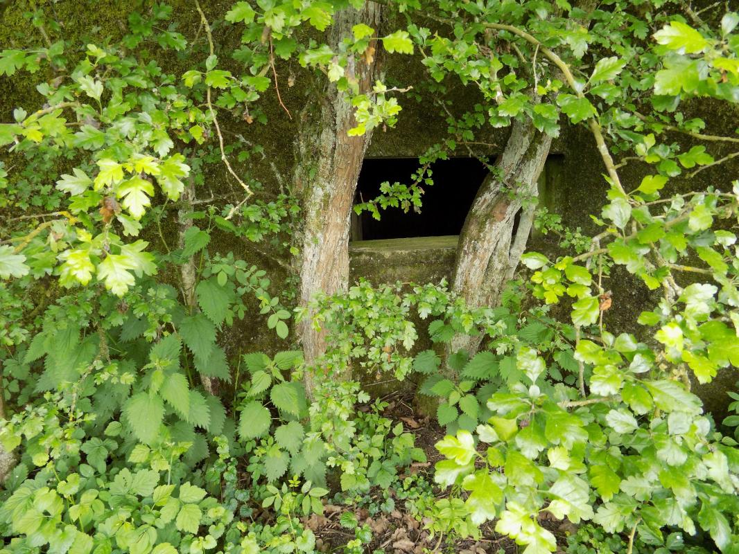 Ligne Maginot - FOND DE LA CHAUSSEE OUEST - (Blockhaus pour canon) - Face frontale - R Tucker