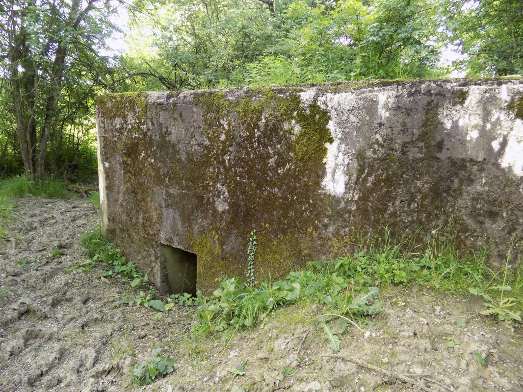 Ligne Maginot - FOND DE LA CHAUSSEE OUEST - (Blockhaus pour canon) - Face droite avec l'entrée hommes - R Tucker
