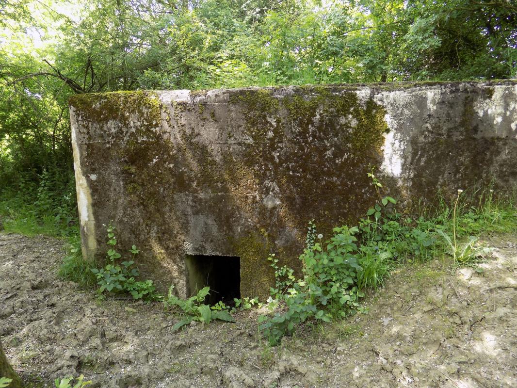 Ligne Maginot - FOND DE LA CHAUSSEE OUEST - (Blockhaus pour canon) - Face droite avec l'entrée hommes - R Tucker