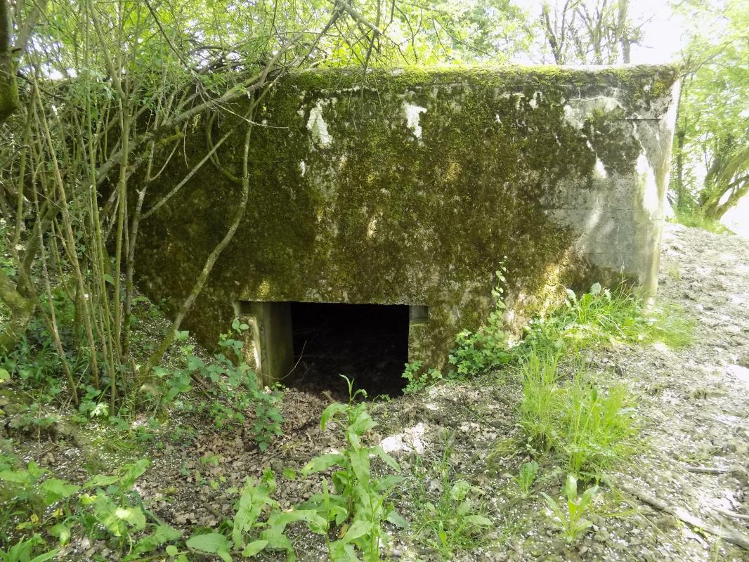 Ligne Maginot - FOND DE LA CHAUSSEE OUEST - (Blockhaus pour canon) - L'arrière avec l'entrée AC - R Tucker