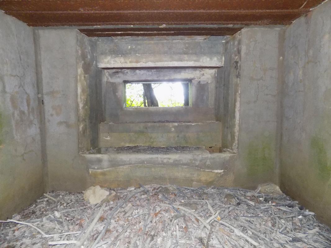 Ligne Maginot - FOND DE LA CHAUSSEE OUEST - (Blockhaus pour canon) - Créneau AC frontal  - R Tucker