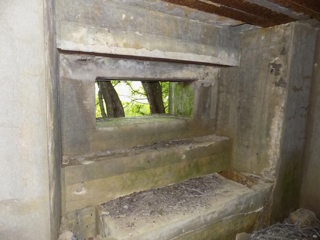 Ligne Maginot - FOND DE LA CHAUSSEE OUEST - (Blockhaus pour canon) - Créneau AC frontal - R Tucker