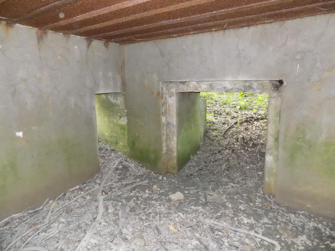 Ligne Maginot - FOND DE LA CHAUSSEE OUEST - (Blockhaus pour canon) - Les entrées hommes et AC - R Tucker