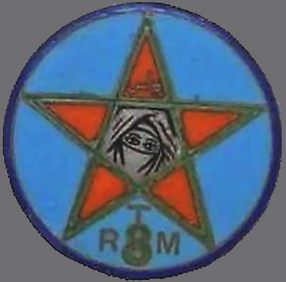 Ligne Maginot - 8° RTM - MONUMENT - (Divers) - Écusson du 8e RTM. Au bas du monument, vous pouvez voir les traces RTM. Le 8 supportant le T - Col DF