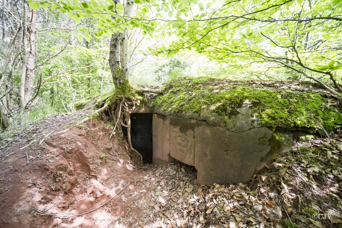 Ligne Maginot - GLASBRONN 2 - (Blockhaus pour arme infanterie) -  - Lia VERMEULEN