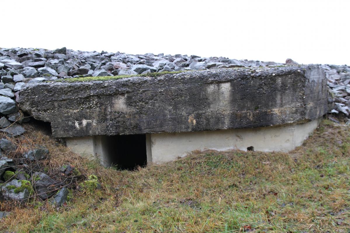 Ligne Maginot - DIGUE DE FRIESENHEIM 3 - Le bloc a été intégré dans la digue du Rhin canalisé. De peu... - Alain Perouffe